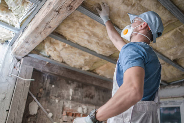 Best Geographic-Specific Insulation Services in Justice, OK